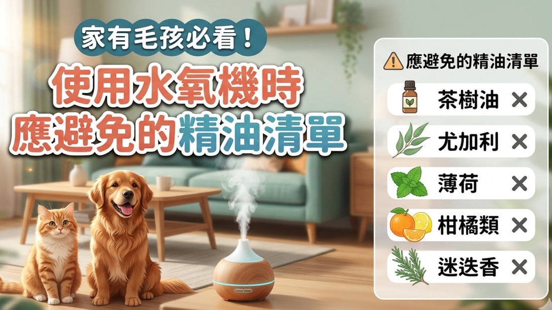 家有毛孩必看！使用水氧機時應避免的精油清單
